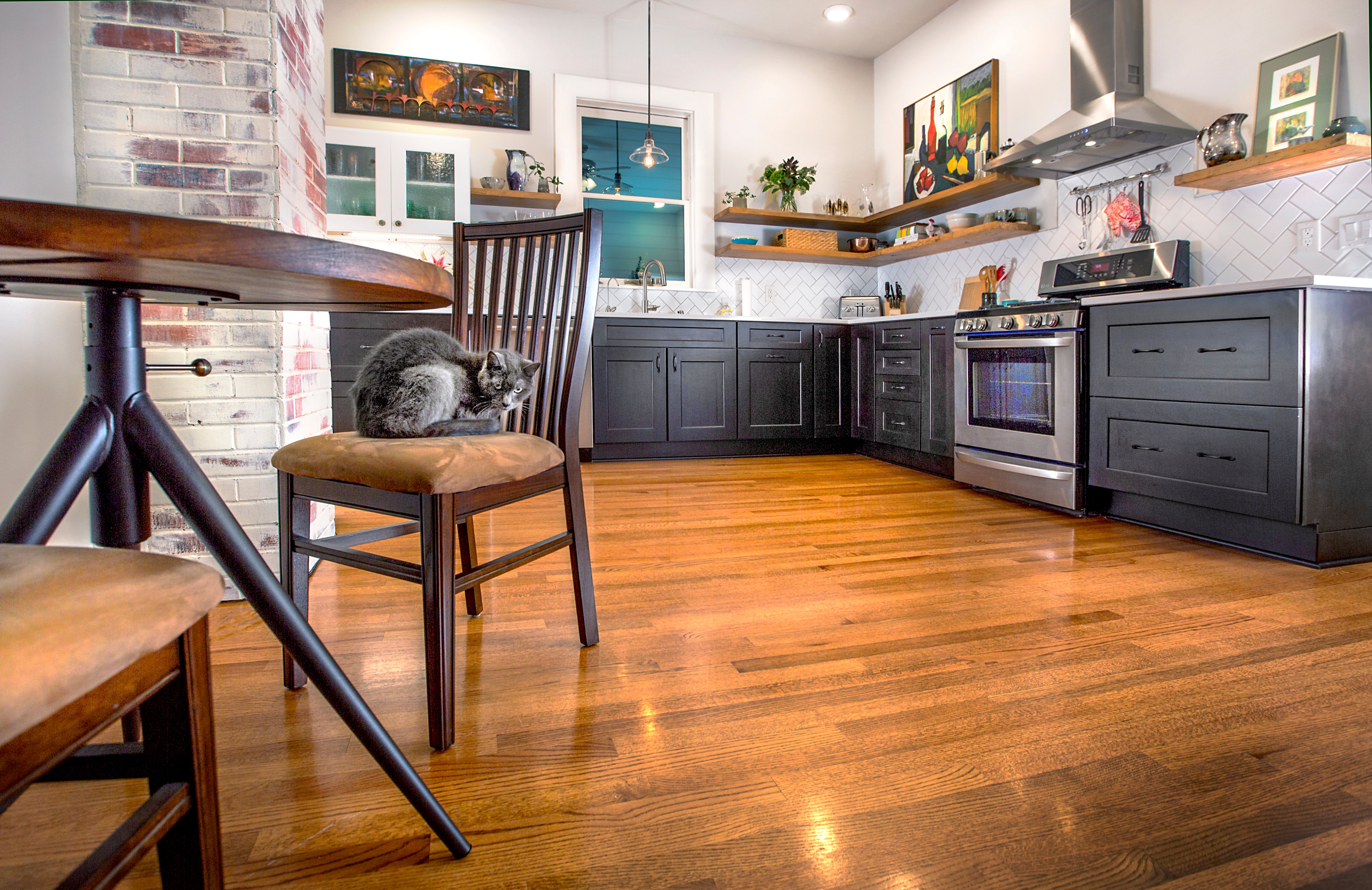 newly remodeled kitchen and cat